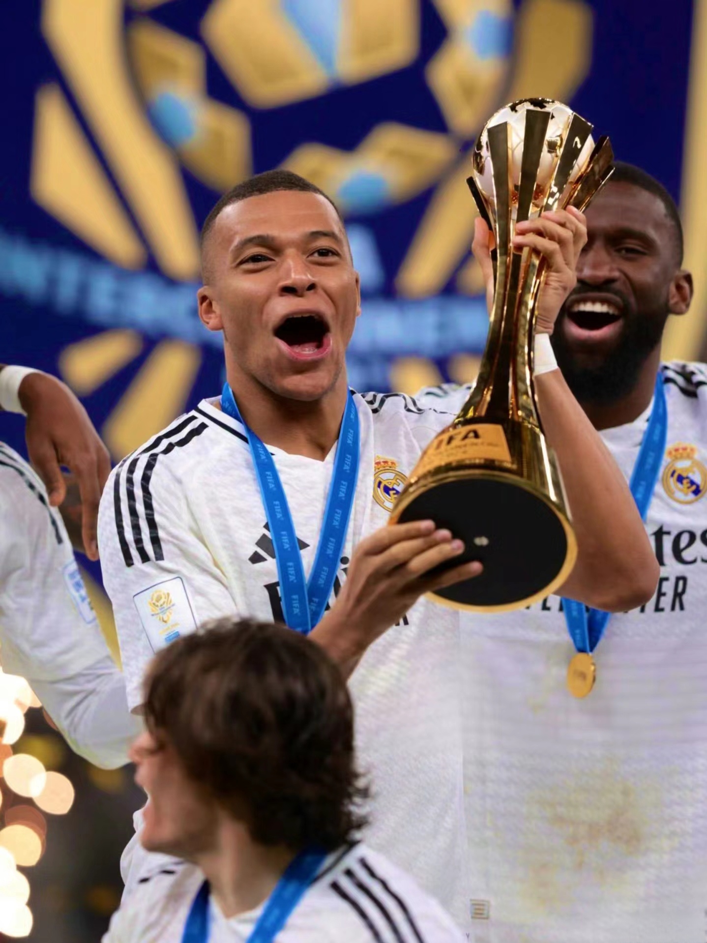 罗诗芳的比 罗诗芳的比