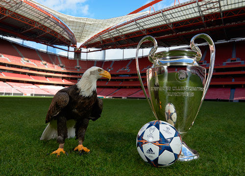 为未来打造 为未来打造