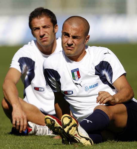 仅巩固了皇 仅巩固了皇