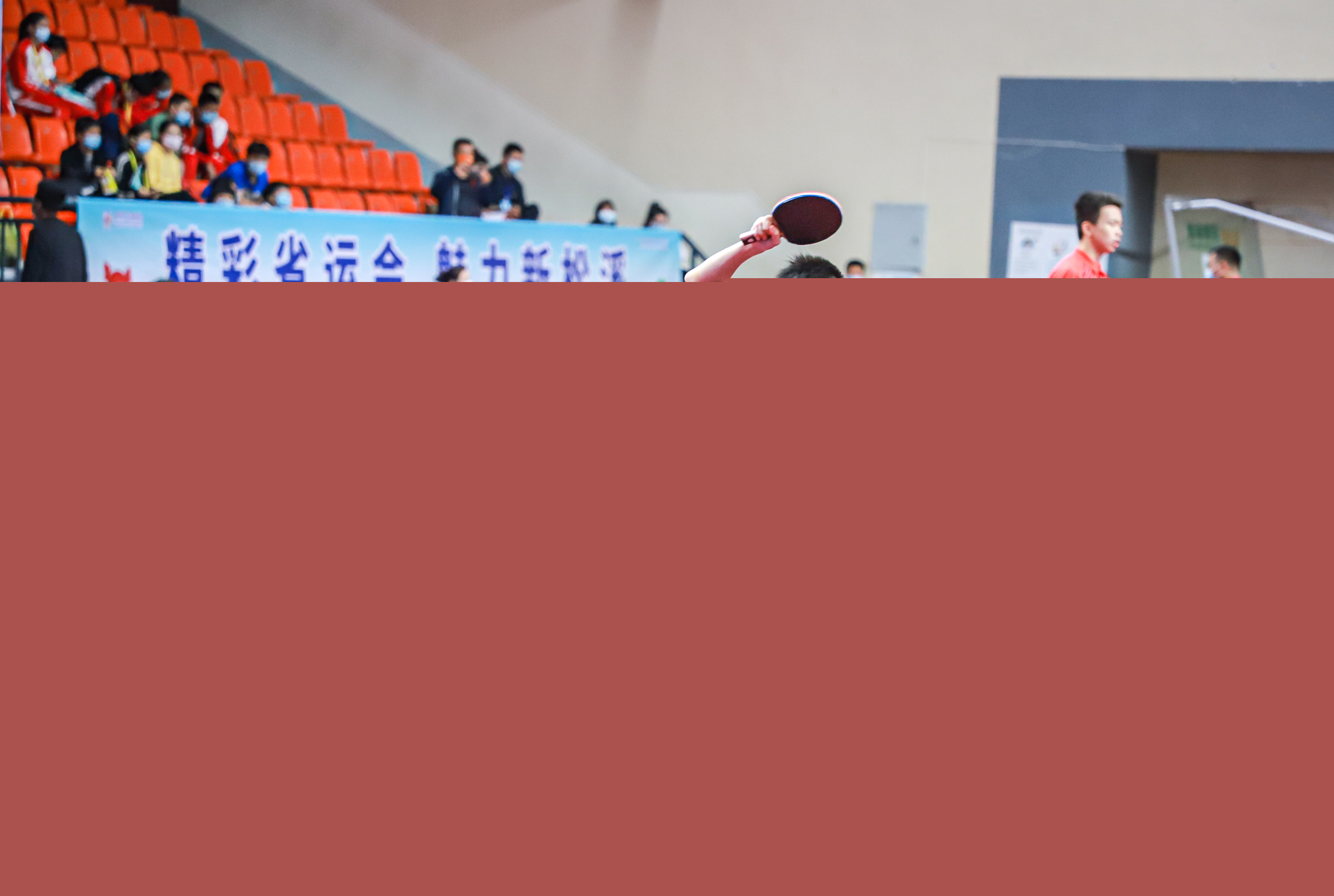 冠军荣誉 冠军荣誉